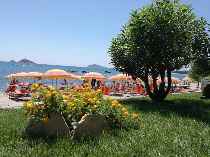 Marina'S Apartment Ogliastra Lotzorai Bagian luar foto